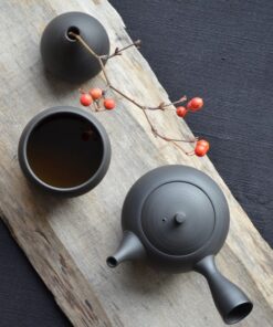 Japanese Tea Pot: Tokoname Ware