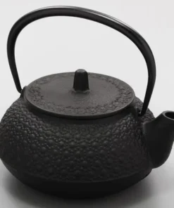 Nambu Tekki Japanese Tea Pot: Authentic Cast Iron Elegance