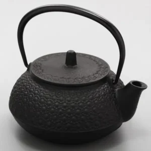 Cast Iron Teapot Tetsubin Tea Kettle Nambu Tekki