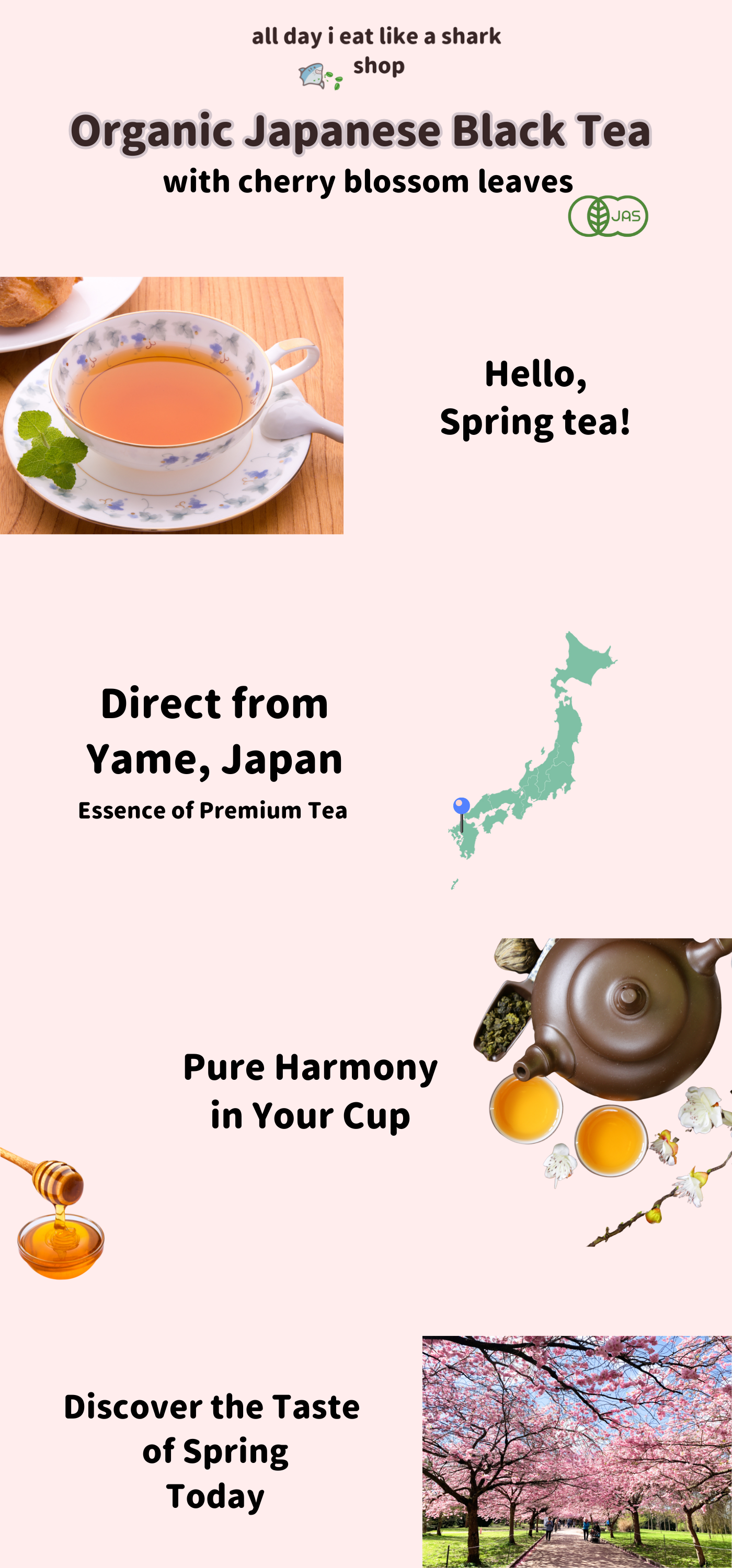 Organic Japanese Black Tea infographic