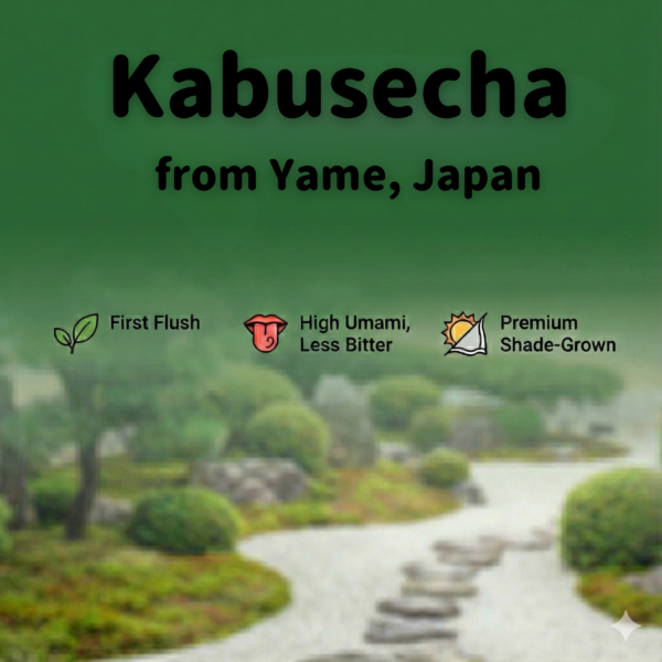 Kabusecha (Covered green tea) from Yame Japan 100g bag - Image 2