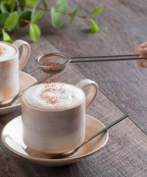 Shimomura Coffee Kohan Powder Spoon in use