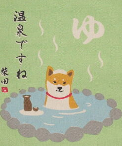 shiba inu dog in hot spring