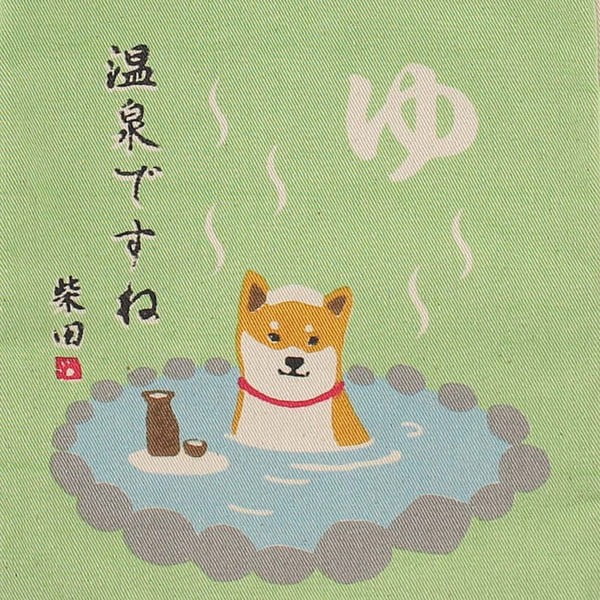 shiba inu dog in hot spring