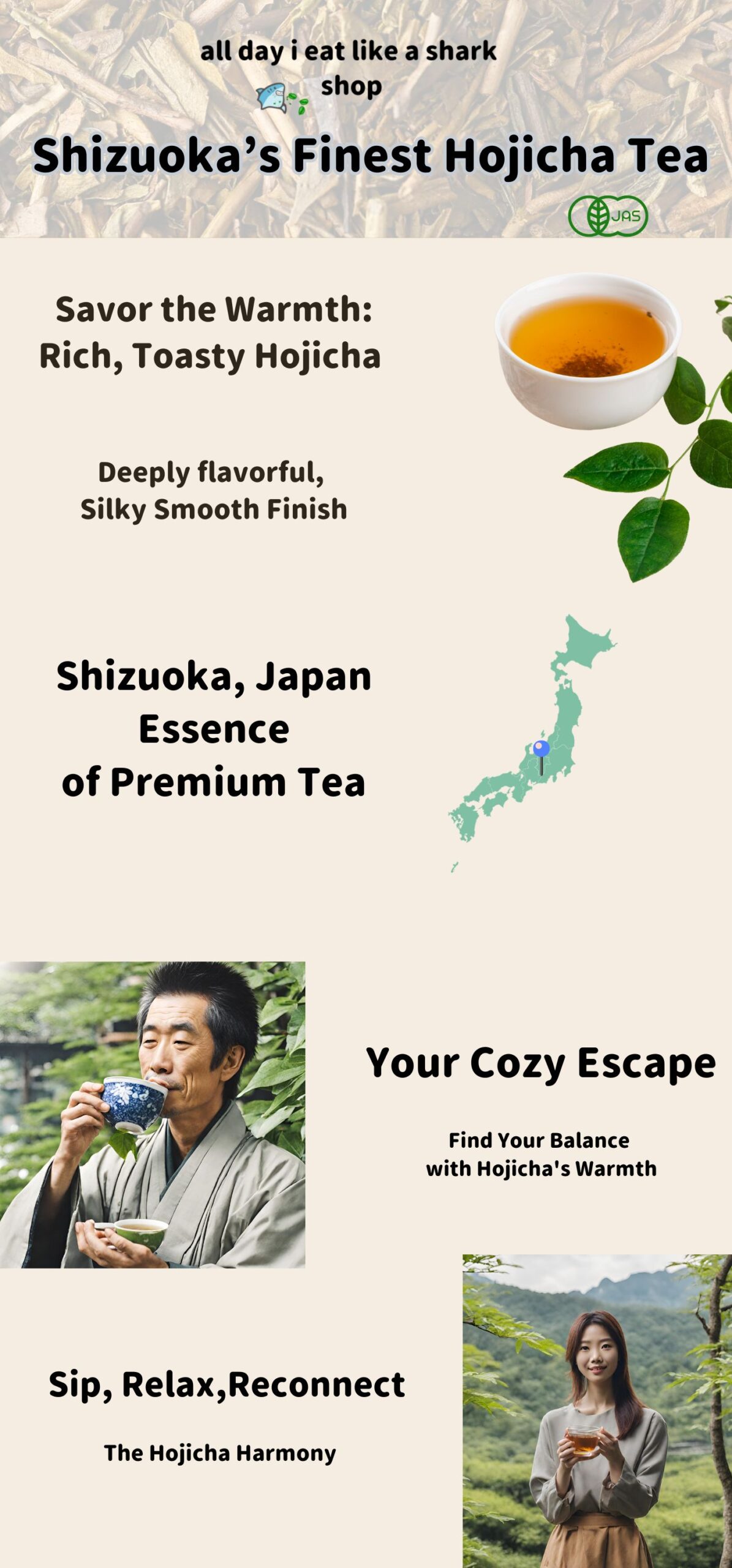 Shizuoka’s Finest Hojicha Tea infographic