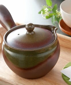 Rustic Elegance: A Brown Tokoname Ware Teapot