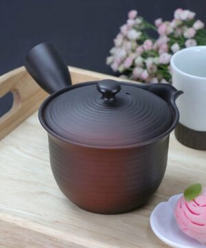 Tokoname ware Rakurakusai kyusu Teapot Black