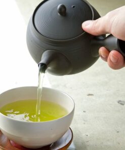 Red Tokoname ware Tea kikkuri kyusu teapot - Aperson Pouring tea into a cup