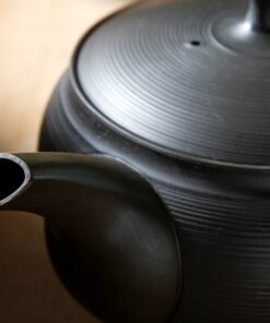 Red Tokoname ware Tea kikkuri kyusu teapot Closeup