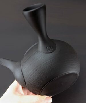 Red Tokoname ware Tea kikkuri kyusu teapot - In a person's hand