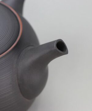 Tokoname ware Smoke Black Teapot closeup of pouring pipe