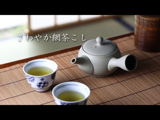 Tokoname ware RED 600ML Teapot -MIJ On a tea shelf