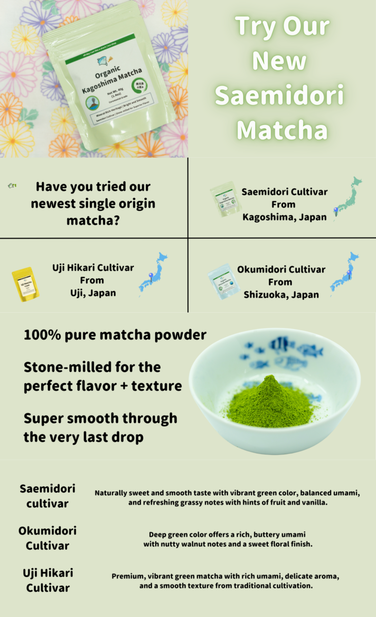 Marketing infographic for 'Saemidori Matcha' on a light green background with multiple sections comparing different Japanese matcha cultivars. In the top left, a package of 'Organic Kagoshima Matcha' sits on a colorful floral background. The package shows the blue shark logo of 'all day i eat like a shark shop' with Japanese-style circular logos and quality descriptions. Adjacent text reads 'Try Our New Saemidori Matcha' in large white shadowed letters. The middle section is divided into a grid comparing three matcha cultivars, each with a small package image and map of Japan highlighting its region of origin: Top left: 'Have you tried our newest single origin matcha?' Top right: 'Saemidori Cultivar From Kagoshima, Japan' with blue dot on southern Japan Bottom left: 'Uji Hikari Cultivar From Uji, Japan' (showing a yellow package) Bottom right: 'Okumidori Cultivar From Shizuoka, Japan' (showing a light blue package) The lower portion features an image of vibrant green matcha powder in a white porcelain bowl with blue fish designs, surrounded by quality statements: '100% pure matcha powder' 'Stone-milled for the perfect flavor + texture' 'Super smooth through the very last drop' At the bottom, a comparison chart details flavor profiles for each cultivar: Saemidori: 'Naturally sweet and smooth taste with vibrant green color, balanced umami, and refreshing grassy notes with hints of fruit and vanilla' Okumidori: 'Deep green color offers a rich, buttery umami with nutty walnut notes and a sweet floral finish' Uji Hikari: 'Premium, vibrant green matcha with rich umami, delicate aroma, and a smooth texture from traditional cultivation' The entire design uses a soft pastel green color scheme that complements the matcha theme, creating an informative yet visually appealing product comparison.