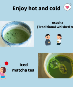 iced matcha and usucha (traditional matcha tea