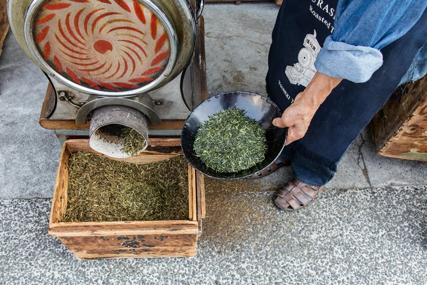 hojicha the trending tea